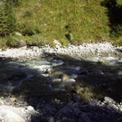 2199500.jpg