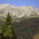 2199555.jpg