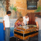 2208022.jpg