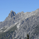 _DSC06530001.JPG