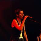 2260988.jpg