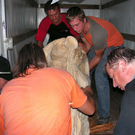 PICT0156.jpg