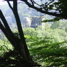 PICT3655.JPG