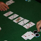 2311066.jpg