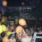 2315183.jpg