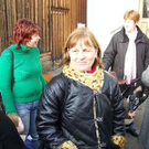 2394241.jpg