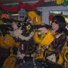 2415346.jpg
