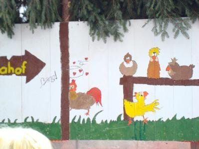 2416552.jpg