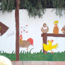 2416552.jpg