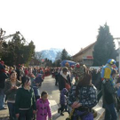 2425979.jpg