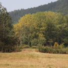Herbstbeginn im Koblacher Ried 