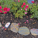 _DSC01740009.JPG