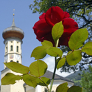 _DSC01850002_1.JPG