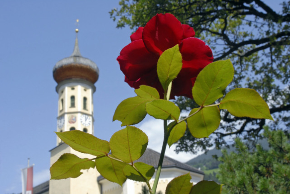 _DSC01850002_1.JPG
