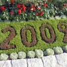 _DSC04260007_1.JPG