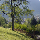 _DSC00230003.JPG