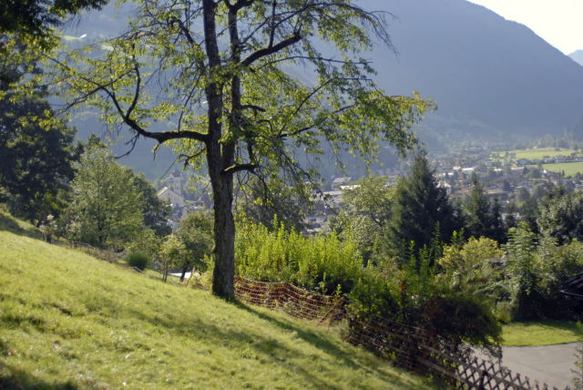 _DSC00230003.JPG
