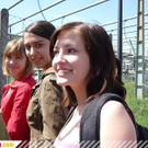 2590847.jpg