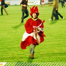 2624308.jpg
