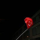 2654051.jpg