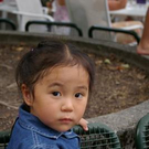 2671785.jpg