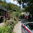 normal_30092009aumattseeff01.jpg