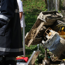 normal_30092009aumattseeff13.jpg