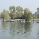 IMG_0355.jpg