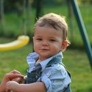 2686107.jpg