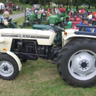 2687021.jpg