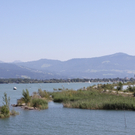 IMG_6892.jpg