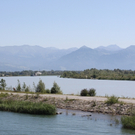 IMG_6894.jpg