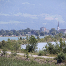 IMG_6898.jpg