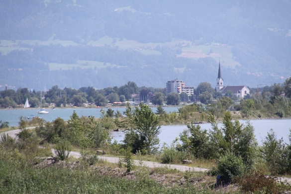 IMG_6898.jpg