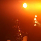 2748030.jpg