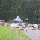 2800655.jpg