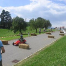 2800674.jpg