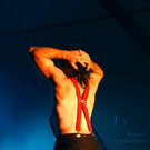 2808065.jpg