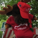 BK_280509 Laufwunder in FK 109.jpg