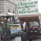 demo7.jpg
