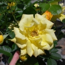 CIMG0572.JPG