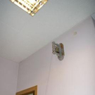 2891194.jpg