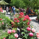 CIMG0576.JPG