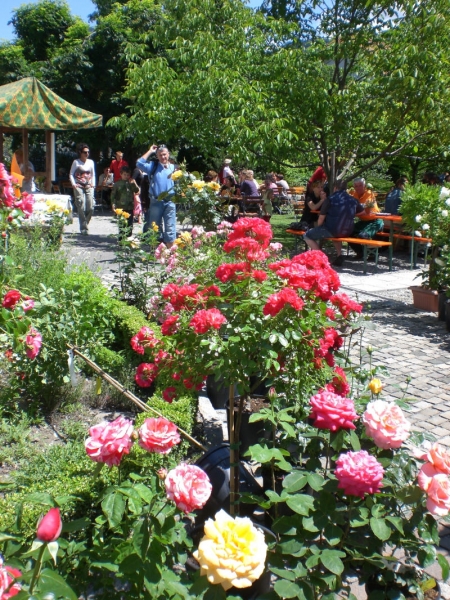 CIMG0576.JPG