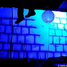 2902459.jpg