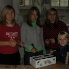 2906543.jpg