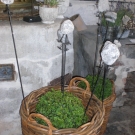CIMG0586.JPG
