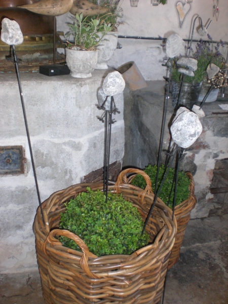 CIMG0586.JPG