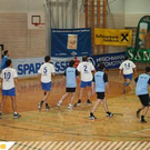 2959476.jpg
