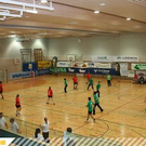 2959527.jpg